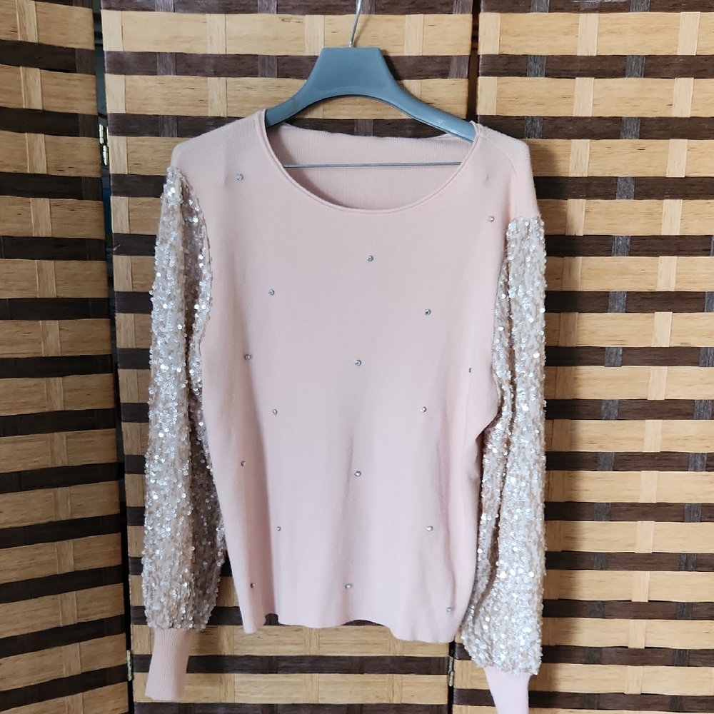 NWT! Sioni NY Elegant BLUSH Sequin Sleeve Top
